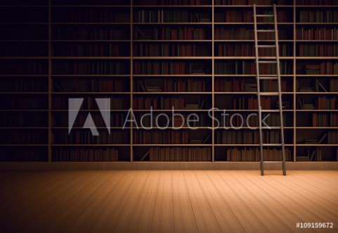 Picture of Library room with ladder